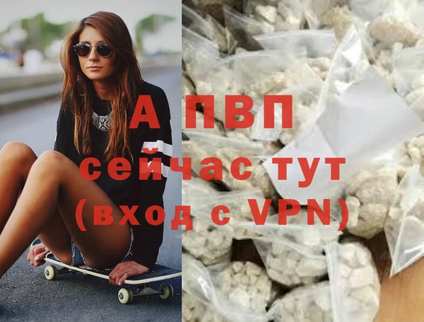 тгк Осташков