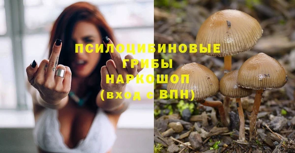 спиды Осинники