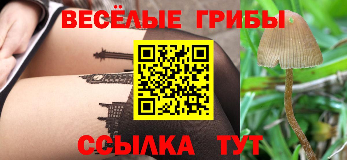 Алексин  Псилоцибиновые грибы Cubensis  закладки  Вход с VPN  Псилоцибиновые грибы прущие грибы 